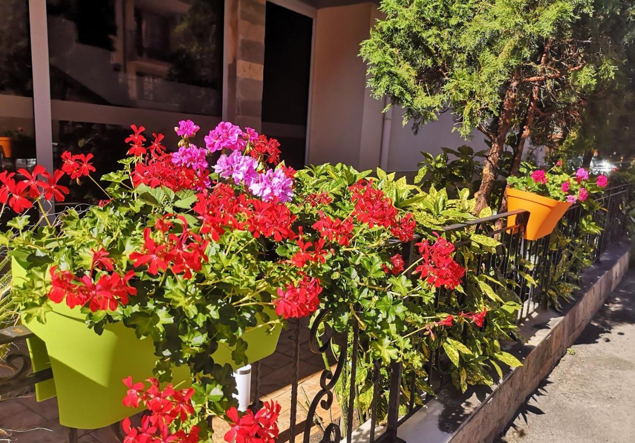 Tropics Hotel Święty Włas Zewnętrze zdjęcie